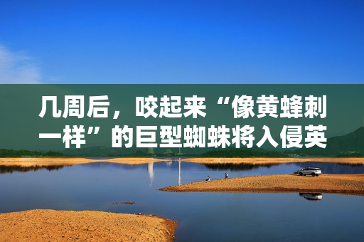 蓝佛安：有充足的政策工具和资源，能够保障今年全国财政收支实现平衡